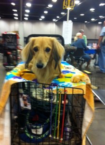 Mom, I say we just get out of here and make a run for it!