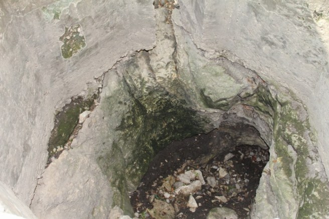 IMG_4036 (800x533).jpg