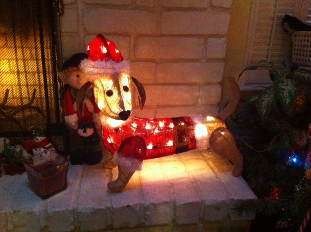 doxie santa